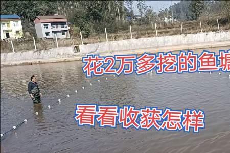 农村鱼塘一年可以出多少鱼