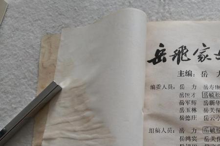 山东岳姓从哪里来的