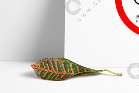 私人影院禁止未成年人进入吗