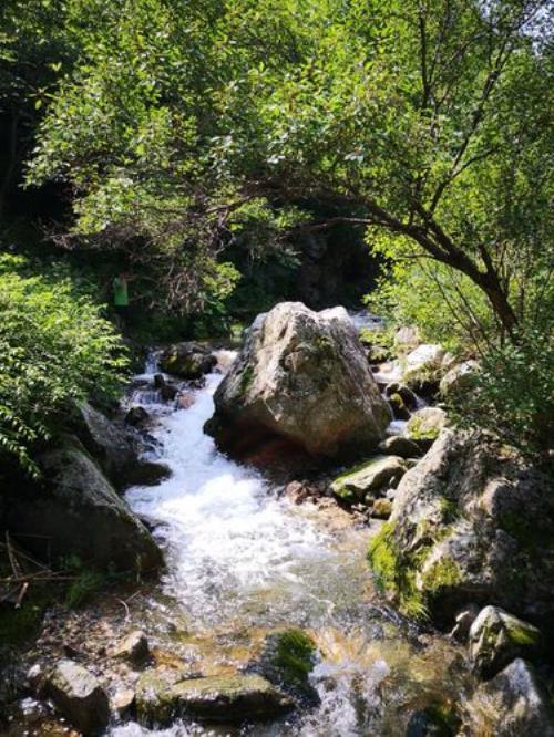 水声东去做龙吟什么意思