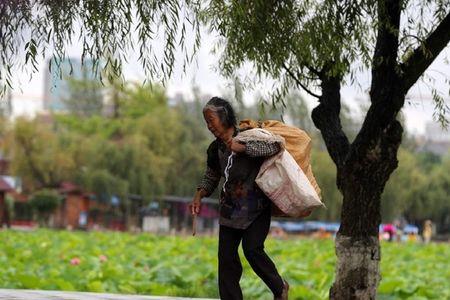 捡伞是什么意思