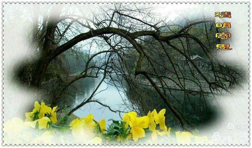 思亲念亲不见亲,下一句是什么