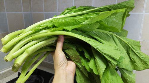 新鲜芥菜怎么做好吃