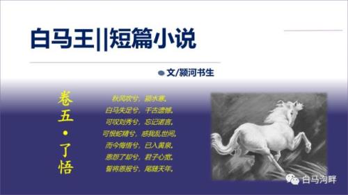 了悟是哪本小说