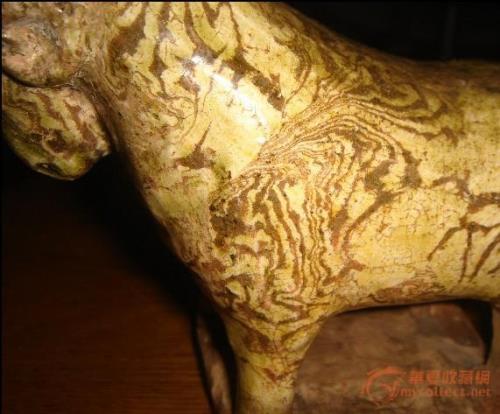 绞胎骆驼的鉴定方法