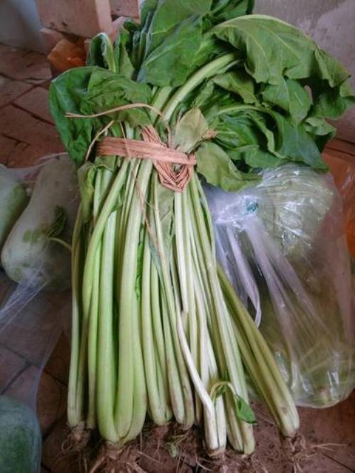有颜色的菜叫什么菜