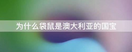 为什么袋鼠会记仇