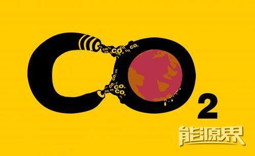 11个碳叫什么