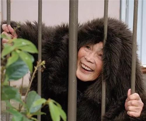 开成家的奶奶出现集数