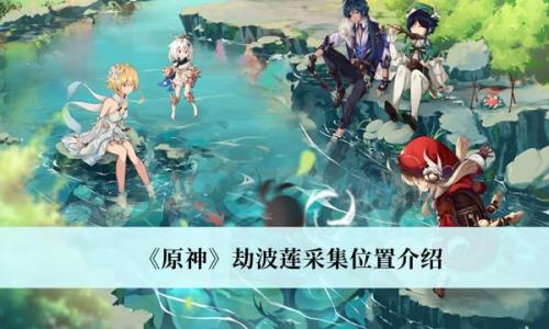 劫波莲多久刷新