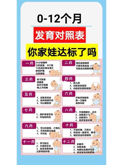12个月几个星期
