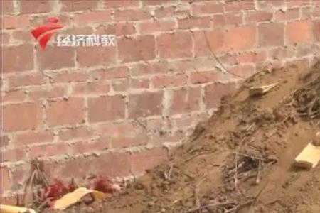 看罢新坟看旧坟是什么意思