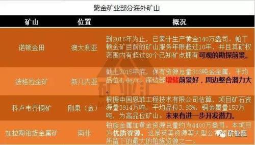 洛阳钼业潜力大吗