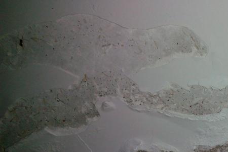 石灰水变质原因