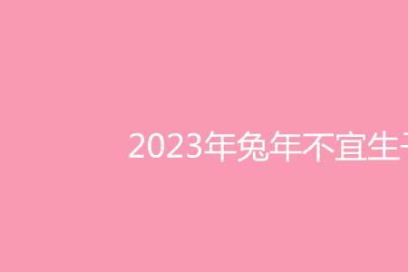 2023年1月1号属相