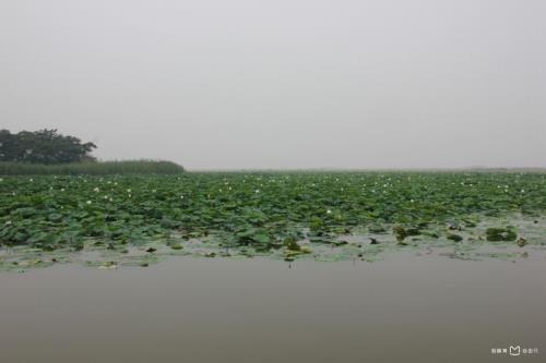微山湖原唱是谁