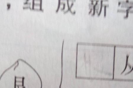 尺寸的寸有什么组词
