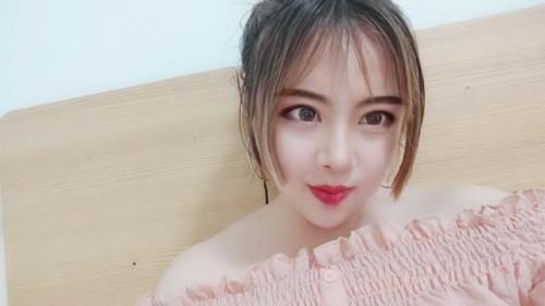 张木子的全部小说