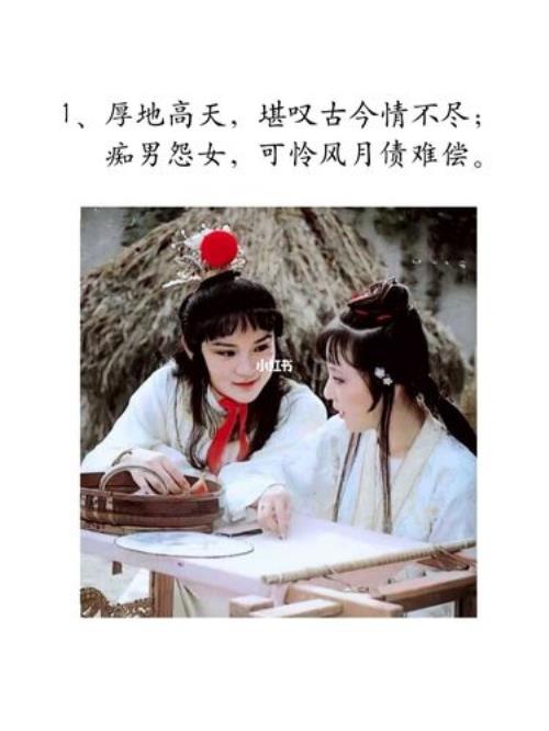 红楼梦101回好句