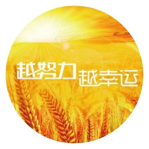 一天之中什么时候加油比较好