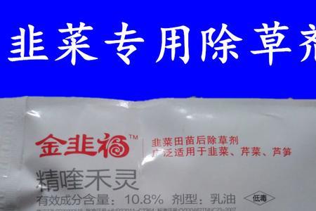 大葱定植田封闭用什么除草剂