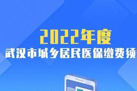 2022居民医保如何缴纳