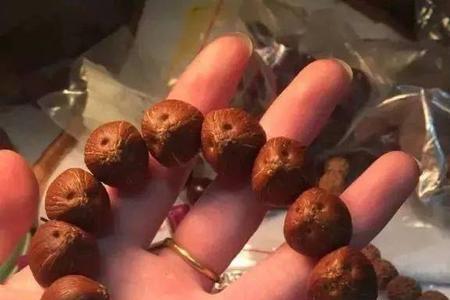 紫金鼠配菩提根好看吗