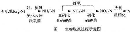 氨化反应方程式