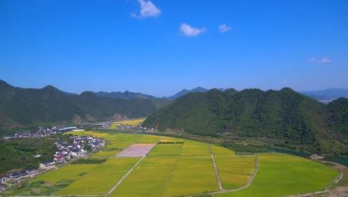 永农地什么意思