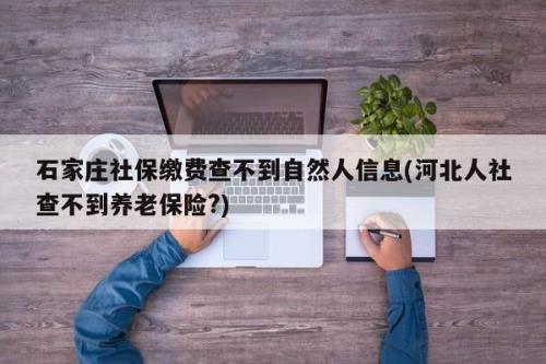 河北怎么帮别人查社保缴纳情况