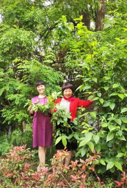 我们相约在网络里原唱