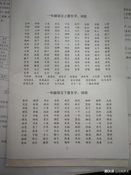 只数是词语吗