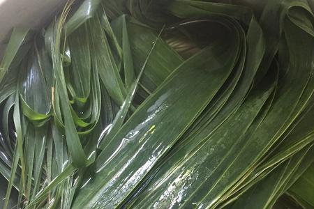 干荷叶怎么包红豆棕子