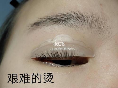 睫毛冷烫多久不能碰水