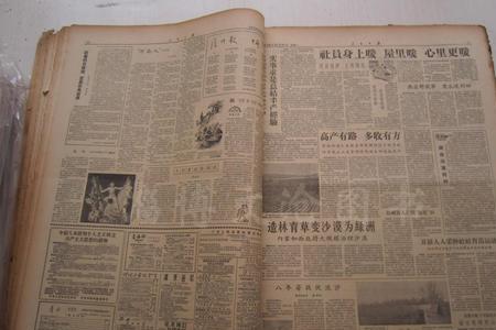1958年1月30属什么