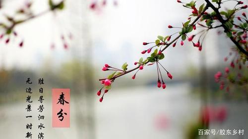 春分以后种什么