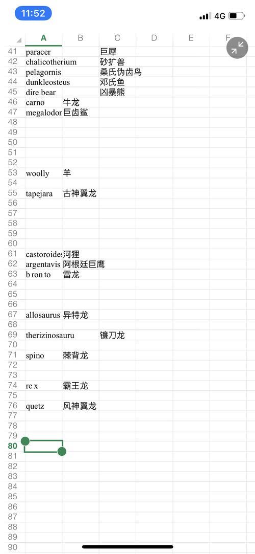 甲龙鞍要多少级才能做