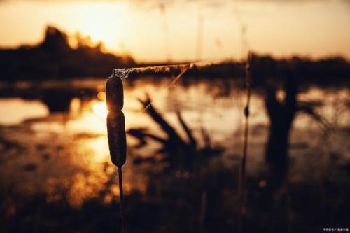 沧桑多愁善感的歌