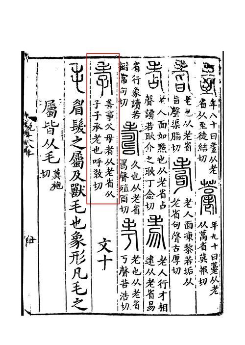 猜孝义，古文的孝的本义是什么