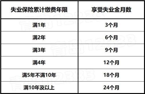 青岛怎么查询失业金发放明细