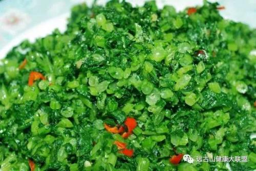 芥菜疙瘩的叶子是雪里红吗