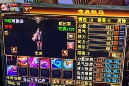 天龙八部宝宝名字的颜色
