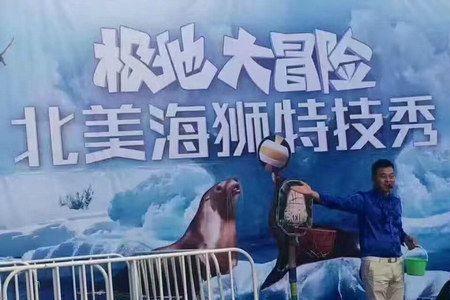 鲨鱼和海狮哪个体积大