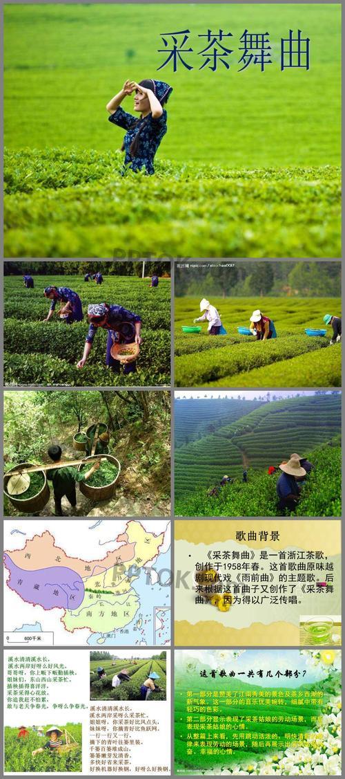 浙江采茶歌原唱