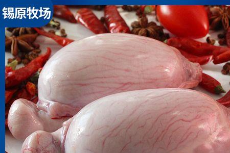 羊宝和羊肉能一起炖吗