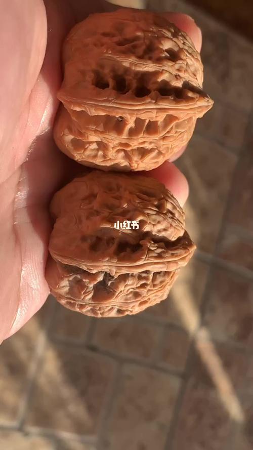 龙胆核桃什么品种