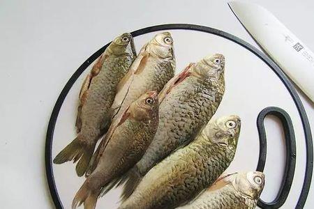 鲫鱼吃生绿豆吗