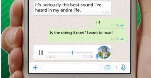 语音apk是什么意思