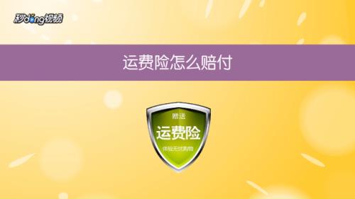 运费险一个月能用几次