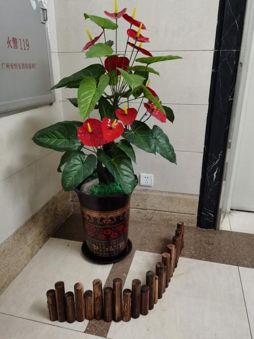 电梯口绿植花卉摆放的方法